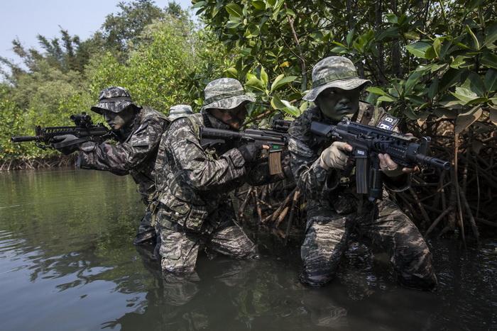 徐州一动物园“柯基”狮网络爆红记者实地探访为你揭开“狮生”之谜