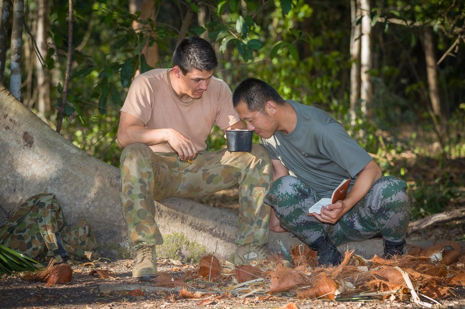 徐州一4岁龄身高65厘米“柯基”狮走红饲养员:发育良好就是不长个喜欢贴人、玩球;腿短系基因突变所致野外存活率几乎为0