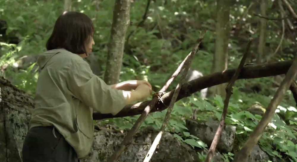 荒野求生太“上头”?且慢请先收下这份避坑指南(图1)