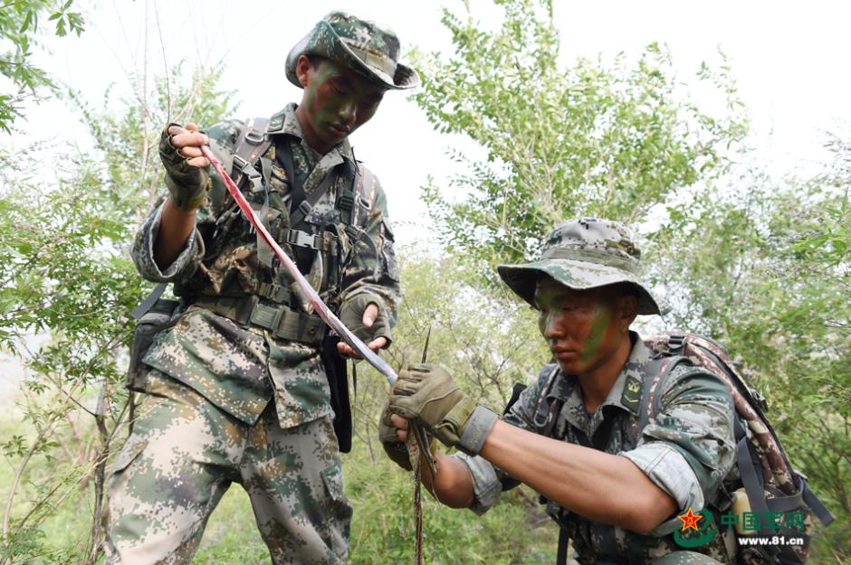 【新春走基层】苇花深处伴鹤舞(图1)