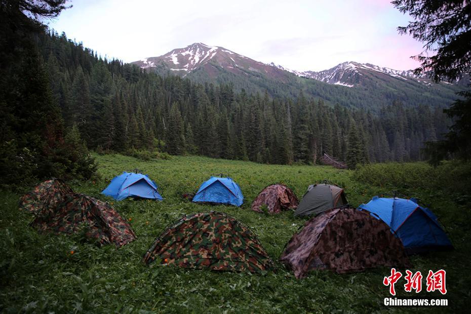 “6名女大学生荒野求生失踪”官方辟谣(图1)
