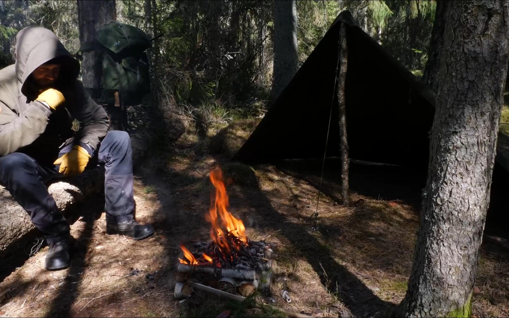 拿命打卡?西藏野外惊现奇葩操作女子直面猛兽太离谱