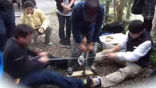 非法捕鸟真“刑”!请用防鸟网代替捕鸟网