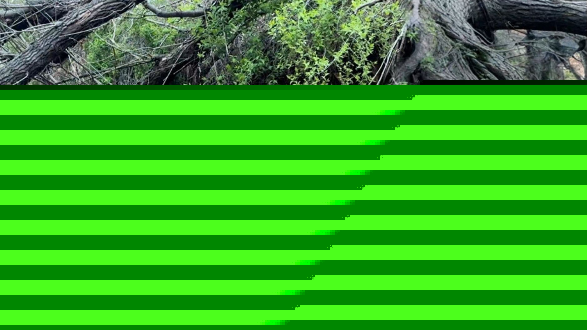 厦门:学生实地学习户外安全知识