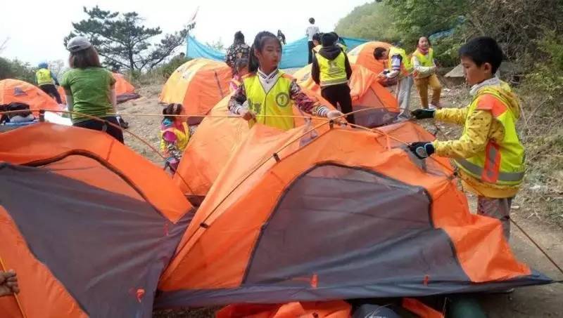 游客投喂松鼠关爱还是伤害专家提醒:不喂食不诱拍不惊扰是真爱