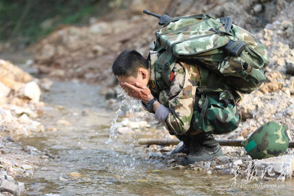 我国拥有35处中华穿山甲分布区广东野外种群数量约1778只
