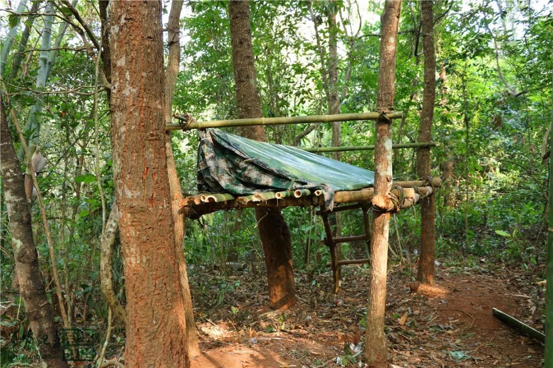 Steam喜加一：游戏《DepthsOfHorror：MushroomDay》免费领