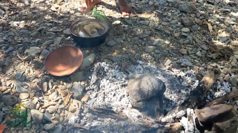 人工种群数量已稳步攀升至30只左右“鸟中大熊猫”扩群记